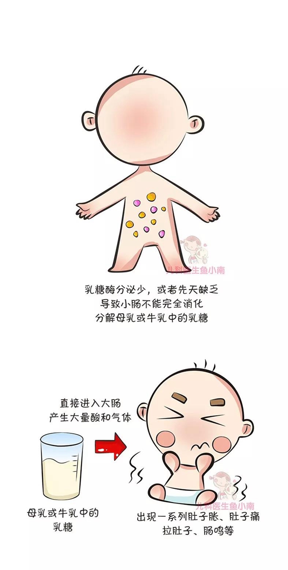 什么是乳糖不耐受?